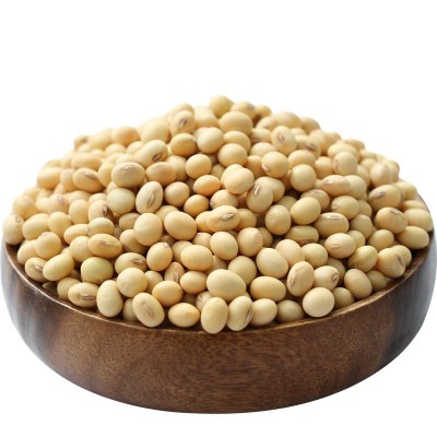 非转基因黄豆新豆山东大豆家用老品种土黄豆干黄豆豆腐豆浆炖菜f图3
