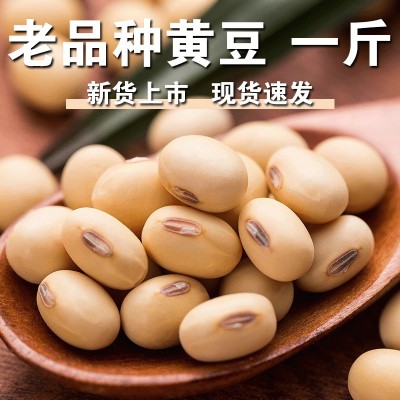 非转基因黄豆新豆山东大豆家用老品种土黄豆干黄豆豆腐豆浆炖菜f图4