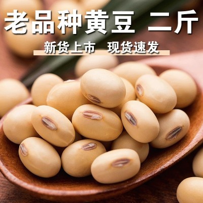 非转基因黄豆新豆山东大豆家用老品种土黄豆干黄豆豆腐豆浆炖菜f图5