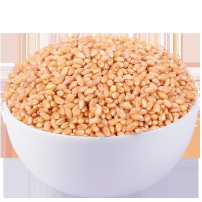 小麦新麦带皮小麦厂家直发零售磨面粉酿酒料饲料可发芽青汁代发a图5