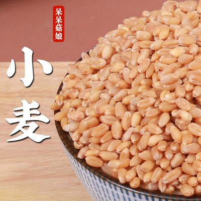 小麦新麦带皮小麦厂家直发零售磨面粉酿酒料饲料可发芽青汁代发a图4