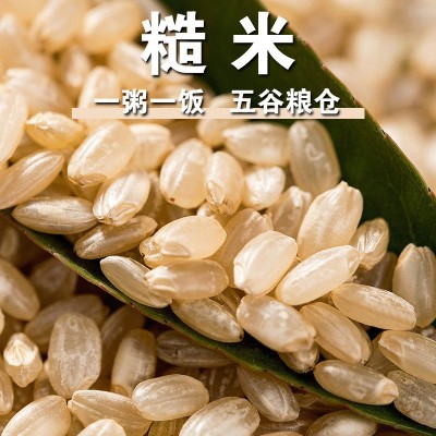 糙米新米白糙米去壳粗粮大米玄米五谷杂粮饭团主食家用单色糙米f图3