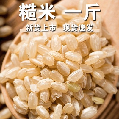 糙米新米白糙米去壳粗粮大米玄米五谷杂粮饭团主食家用单色糙米f图5