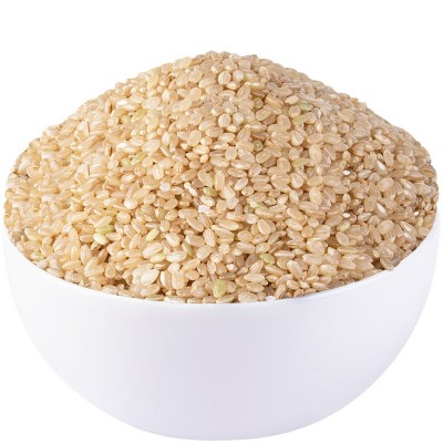 糙米新米白糙米去壳粗粮大米玄米五谷杂粮饭团主食家用单色糙米f图4