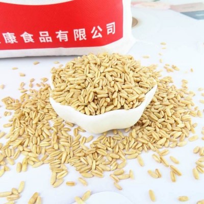 燕麦米产地直发可议价新米全胚芽裸燕麦50斤25公斤可代工小包装