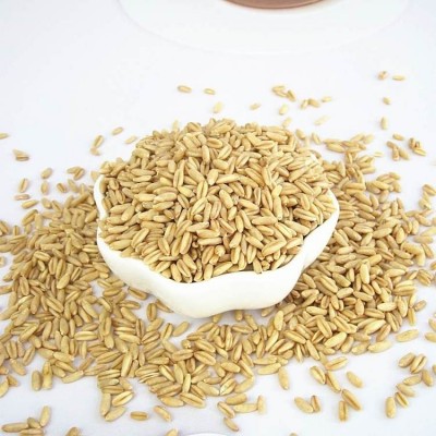 燕麦米产地直发可议价新米全胚芽裸燕麦50斤25公斤可代工小包装图4