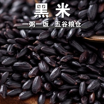 黑米黑糯米香米新米家用黑糙米饭五谷杂粮黑大米甜品黑米粥料f图3