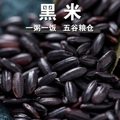 黑米黑糯米香米新米家用黑糙米饭五谷杂粮黑大米甜品黑米粥料f图2