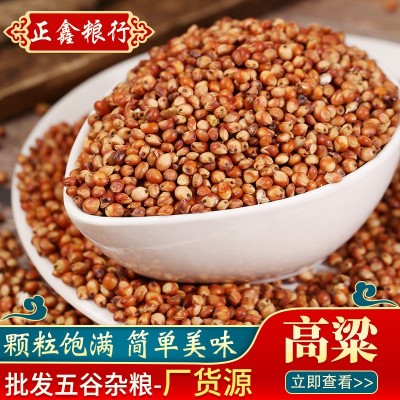 东红高粱酿酒酿醋梗高粱五谷杂粮批发带皮高粱未脱皮高粱袋装图2