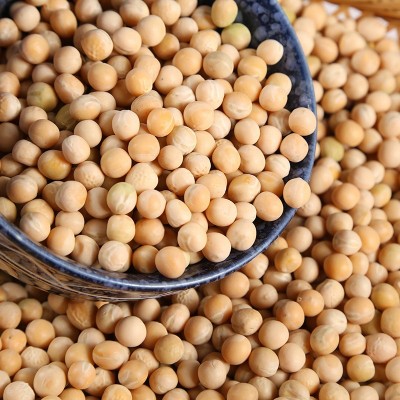 批发供应白豌豆 豌豆 白豌豆食品加工五谷杂粮 袋装49斤图2