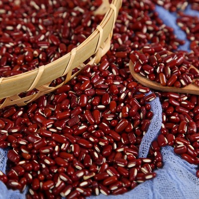 赤小豆批发农家长粒赤小豆非红小豆赤豆五谷杂粮袋装24.2Kg图3