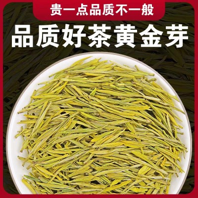 正宗白茶安吉黄金芽茶叶高山新茶明前罐装珍稀白茶绿茶五一送礼图4