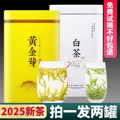 正宗白茶安吉黄金芽茶叶高山新茶明前罐装珍稀白茶绿茶五一送礼图2