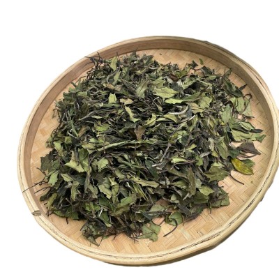 2023花香寿眉白茶春季茶叶散茶源头茶厂一手批发品鉴甜白春茶桂花图5