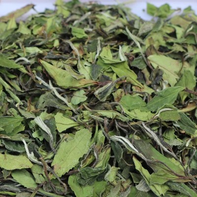 2023花香寿眉白茶春季茶叶散茶源头茶厂一手批发品鉴甜白春茶桂花图2