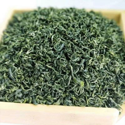 贵州云雾绿茶袋装湄潭核心产区茶园直销绿茶叶有机春茶雨前茶清香图3