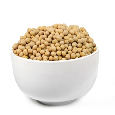 厂家直批低温烘焙熟黄豆磨粉现磨豆浆大豆五谷杂粮批发原料加工图5