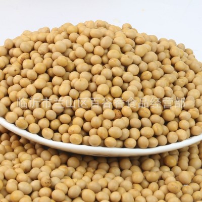 厂家直批低温烘焙熟黄豆磨粉现磨豆浆大豆五谷杂粮批发原料加工图4