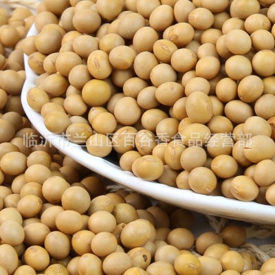 厂家直批低温烘焙熟黄豆磨粉现磨豆浆大豆五谷杂粮批发原料加工图3