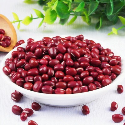 新货红小豆批发 农家自产圆粒红豆 薏米搭配红豆粥 一件代发图2