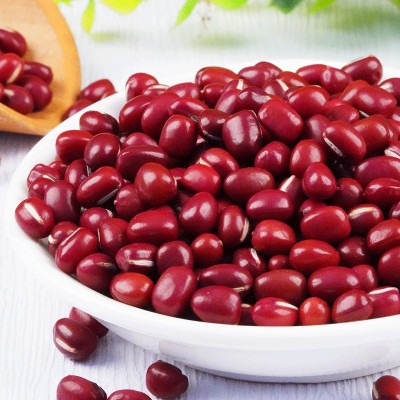 新货红小豆批发 农家自产圆粒红豆 薏米搭配红豆粥 一件代发图4
