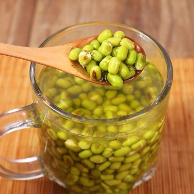 五谷杂粮豆浆粉原料 货源供应批发熟绿豆 低温烘培熟明绿豆图3