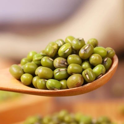 五谷杂粮豆浆粉原料 货源供应批发熟绿豆 低温烘培熟明绿豆图2