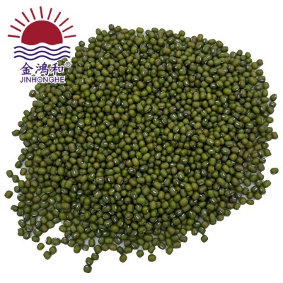 东北绿豆大包包装散装新货毛绿豆五谷杂粮绿豆汤绿豆糕可烘焙原料图3