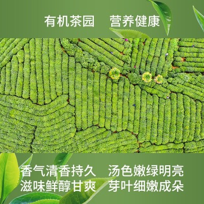 有机珠茶500g炒青散装珠茶批发欧美出口绿茶3505EU、NOP有机认证图2