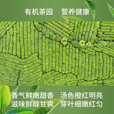 2024新茶有机红茶500g特级杭州千岛湖生态茶园鸠坑种红茶散装批发图2