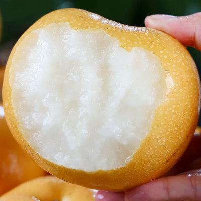 山东莱阳秋月梨正宗新鲜冰糖梨子甜摘当季水果整箱图3