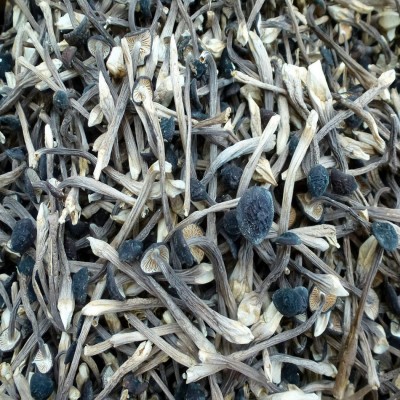 【裕菌隆】 黑皮鸡枞 鸡枞菌 食用菌干货批发 颜色黑质量好图4