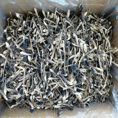 【裕菌隆】 黑皮鸡枞 鸡枞菌 食用菌干货批发 颜色黑质量好图3