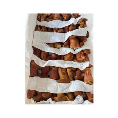 云南新鲜见手青红葱牛肝菌网红爆款野生菌菇蘑菇人工种植食用菌图5