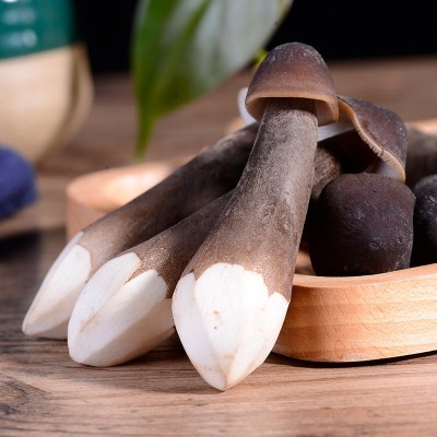 产地销售云南特产黑皮鸡枞菌新鲜农产品食用菌煲汤食材山珍菌菇图4