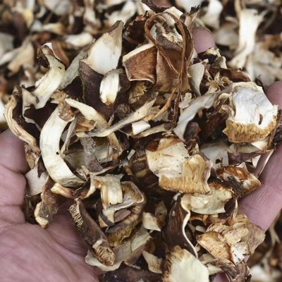 松茸皮干货 野生菌火锅汤料 火锅熬汤菌松茸皮批发图3