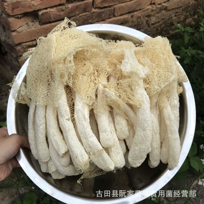 当季新货古田竹荪干货500g竹笙菇蕾不熏硫磺农家货菌菇火锅食材图2