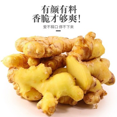 云南富宁小黄姜鲜姜嫩姜月子姜现挖姜整箱批发现货图5