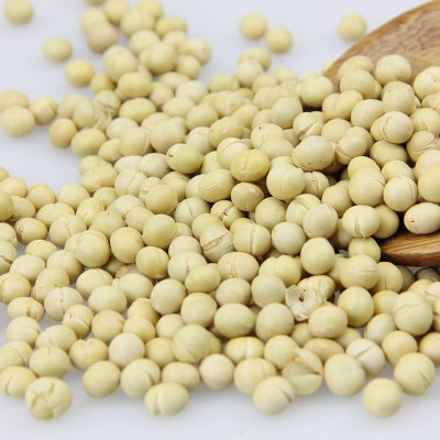 低温烘焙熟黄豆 5斤/包 五谷磨坊原料图3
