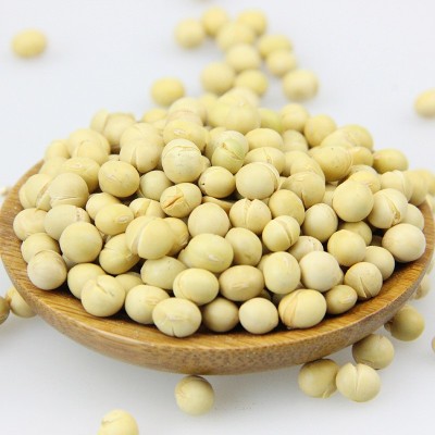 低温烘焙熟黄豆 5斤/包 五谷磨坊原料图2