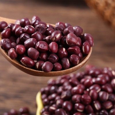 新货批发熟红豆散装五谷磨粉代用茶原料红小豆低温烘焙红小豆小粒图2