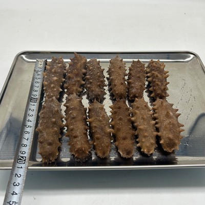 厂家新鲜大连即食海参辽刺参礼盒 大连鲜食海参 海参即食海参批发图2