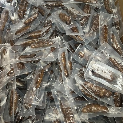 电商爆品源头工厂 大连海参鲜食海参 海参即食海参批发图3