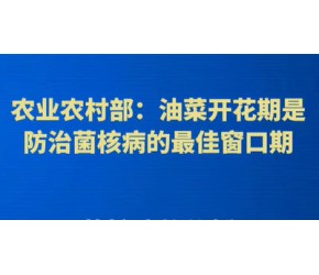 农业农村部：油菜开花期是防治菌核病的最佳窗口期