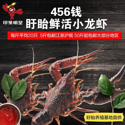 456鲜活盱眙十三香小龙虾5斤装盱眙鲜活水产养殖清水小龙虾图2