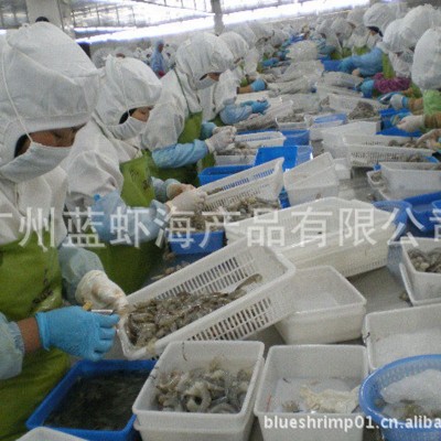 厂家供应 南美鲜虾仁20斤/箱 110/130南美虾仁冷冻虾仁批发图3