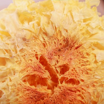 古田干货散装500g大花银耳不熏硫出胶白木耳银耳莲子羹雪耳批发图3