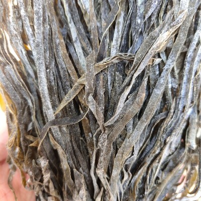 福建霞浦干海带丝批发无沙干货常温保存散装海带丝特产厂家海菜图5