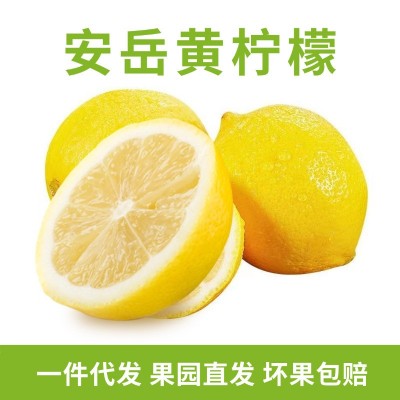 四川安岳黄柠檬新鲜柠檬批发奶茶店用应季水果整箱多汁图3