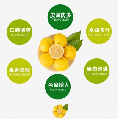 四川安岳黄柠檬新鲜柠檬批发奶茶店用应季水果整箱多汁图2